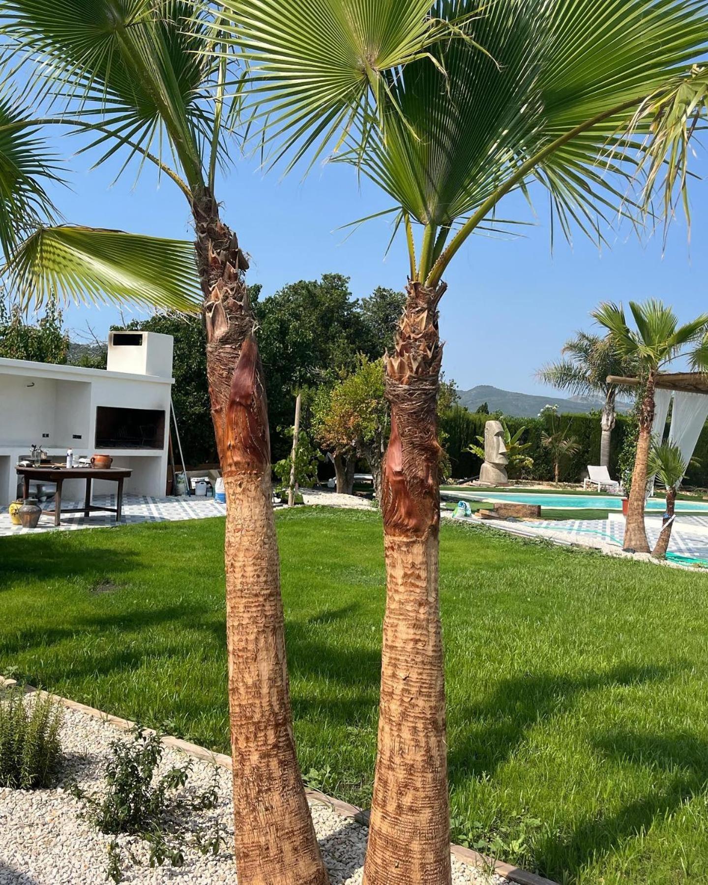 Casanoa Luxury Villa Bed And Breakfast Jávea Exterior photo